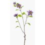 Dekozweig Waldrebe RUHNA, lila, 75cm