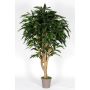 Deko Longifolia RAFIKO, Naturstämme, grün, 250cm - Made in Italy