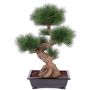 Kunstbaum Bonsai Pinie JIRANI in Keramikschale, 75cm