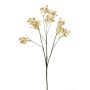 Künstliches Schleierkraut LITAGO, Trockenoptik, beige, 70cm, Ø1,5cm