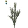 Künstlicher Rosmarin BAKREN auf Steckstab, crossdoor, grün, 60cm