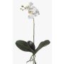 Kunststoff Phalaenopsis Orchidee FAO auf Steckstab, weiß, 45cm