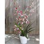 Kunstblume Orchidee Oncidium YOSEPHIN im Tontopf, weiß-rot, 70cm