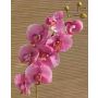 Deko Phalaenopsis Orchidee künstlich RICKY, pink, 95cm, Ø7-11cm