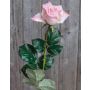 Kunstrose LUISA, rosa, 75cm, Ø6cm