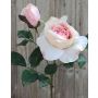 Kunst Rose RIEKE, weiß-rosa, 45cm, Ø10cm