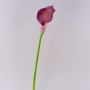 Kunstblume Calla TERESA, violett, 70cm, 10x15cm