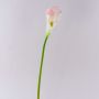 Kunstblume Calla TERESA, weiß-rosa, 70cm, 10x15cm