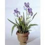 Künstliche Iris LALANI im Dekotopf, violett-blau, 100cm