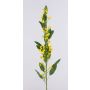Kunst Euphorbia fulgens FILIPPE mit Büten, gelb, 105cm
