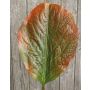 Kunst Rhabarberblatt MARLINA, grün-rot, 90cm