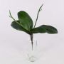 Kunstpflanze Phalaenopsis Orchidee DORTE, Luftwurzeln, 22x28cm