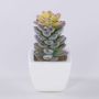 Künstlicher Pachyphytum oviferum ROBBIE, Keramiktopf, grün, 13cm