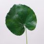 Geranien Kunstblumenblatt HEIDEGARD, grün, 38cm, Ø14cm