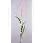 Lampenputzergras Zweig künstlich LEBRERO mit Rispen, rosa, 175cm
