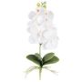 Dekoblume Phalaenopsis Orchidee DRINTOR, Steckstab, Wurzeln, weiß, 40cm