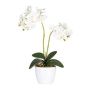 Dekoblume Phalaenopsis Orchidee FRUXO, Steckstab, Wurzeln, weiß, 50cm
