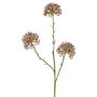 Dekozweig Allium ALIKIO, lila, 65cm, Ø7cm