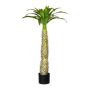 Künstliche Palme Madagaskar Palme BUNGYN, 100cm