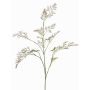 Feder-Spargel Zweig künstlich WATTENS, lila-grün, 100cm