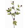 Deko Zweig Feige PROWER mit Früchten, grün, 90cm