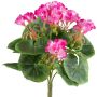 Deko Blume Geranie CRONVEL, Steckstab, crossdoor, pink, 25cm