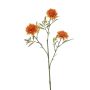 Deko Zweig Tagetes TAWLER, orange, 60cm