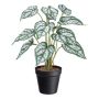 Deko Pflanze Caladium SNALHE, Dekotopf, weiß-grün, 40cm