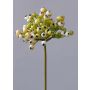 Künstlicher Feuerdorn Zweig CLEO mit Beeren, creme-grün, 20cm