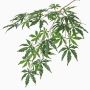 Unechter Japanischer Ahornzweig DIRK, schwer brennbar, grün, 70cm