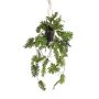 Kunstpflanze Philodendron Selloum Blumenampel URCO, Dekotopf, 80cm