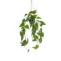 Kunstpflanze Philodendron Scandens Blumenampel ZILDA, Dekotopf, 80cm