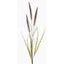 Deko Fuchsschwanz Zweig TALOR mit Rispen, braun-grün, 85cm