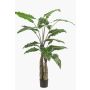 Künstliche Pflanze Alocasia Sanderiana ALBULA, grün, 150cm