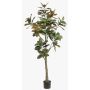 Yulan-Magnolienbaum künstlich BELLITA, Kunststamm, grün-olive, 180cm