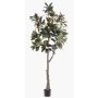 Yulan-Magnolienbaum künstlich BELLITA, Kunststamm, grün-olive, 240cm