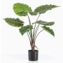 Künstliche Pflanze Alocasia Calidora FAYOR, grün, 70cm