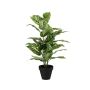 Künstliche Pflanze Dieffenbachia ELSAWA im Dekotopf, grün, 65cm