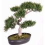 Künstlicher Bonsai Zeder JARNO mit Wurzeln, in Pflanzschale, 40cm