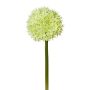 Dekoblume Allium WANDENY, creme-grün, 65cm