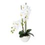 Textil Phalaenopsis Orchidee DINKA in Keramikschale, Wurzeln, weiß, 50cm