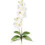 Textil Phalaenopsis Orchidee MORLEK, Steckstab, Wurzeln, creme, 60cm