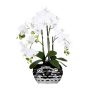 Plastikblume Phalaenopsis Orchidee SINKA im Dekotopf silber, weiß, 55cm