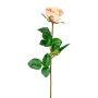 Dekoblume Rose NORLAN, rosa-creme, 70cm, Ø8cm