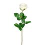 Dekoblume Rose NORLAN, creme, 70cm