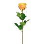Dekoblume Rose NORLAN, aprikose, 70cm, Ø8cm