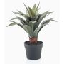 Kunst Sukkulente Drachenbaum-Agave RUPUN im Dekotopf, grün, 45cm