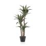 Kunst Sukkulente Drachenbaum-Agave TZALAM, Kunststämme, grün, 100cm