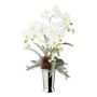 Deko Orchidee Farn Gesteck BALSI, Keramikvase, Zapfen, Beeren, beschneit, weiß, 70cm