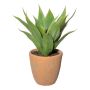 Kunst Sukkulente Agave americana FROMSA im Terracottatopf, buschig, grün, 40cm